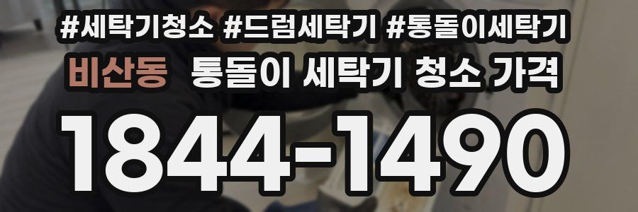 비산동 통돌이 세탁기 청소 가격