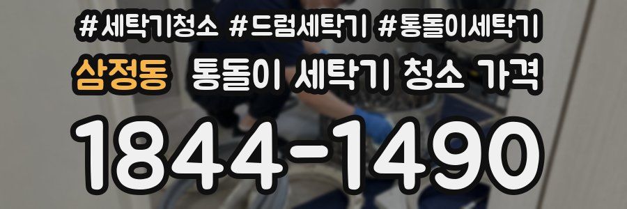 삼정동 통돌이 세탁기 청소 가격