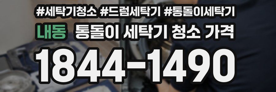 내동 통돌이 세탁기 청소 가격