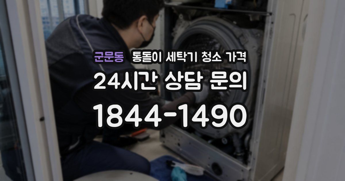 군문동 통돌이 세탁기 청소 가격