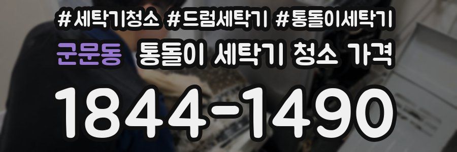 군문동 통돌이 세탁기 청소 가격