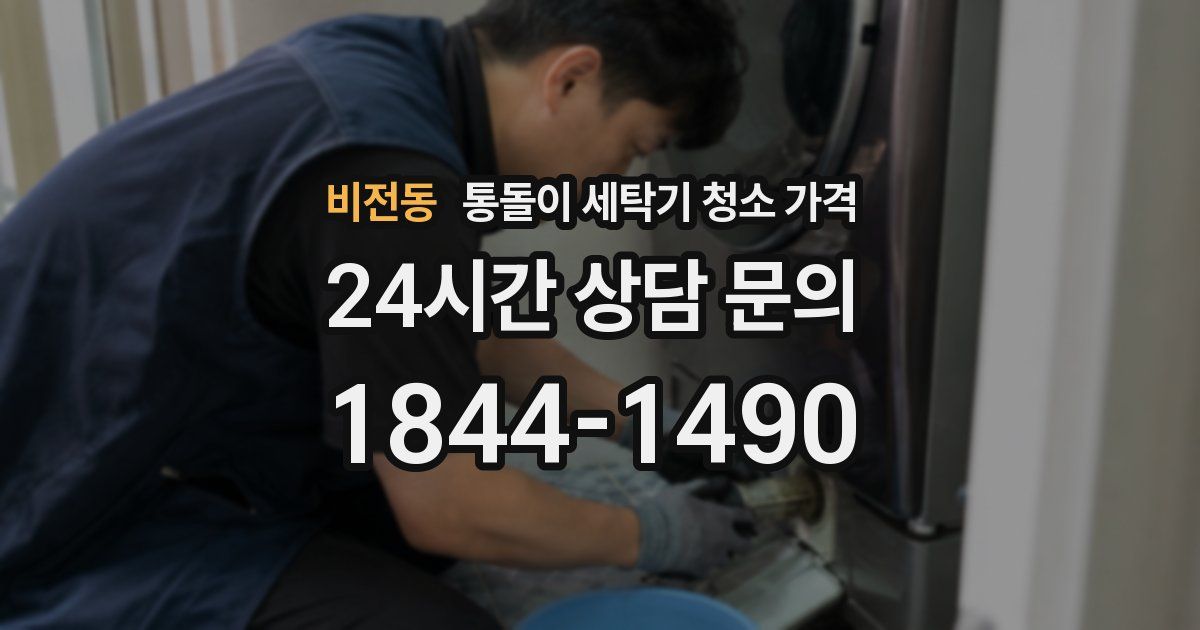 비전동 통돌이 세탁기 청소 가격