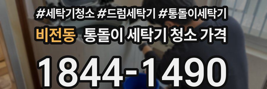 비전동 통돌이 세탁기 청소 가격