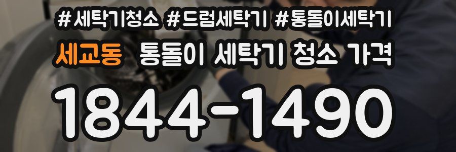 세교동 통돌이 세탁기 청소 가격