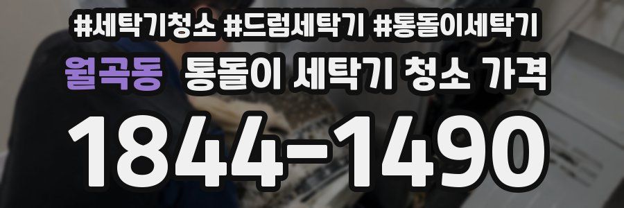 월곡동 통돌이 세탁기 청소 가격