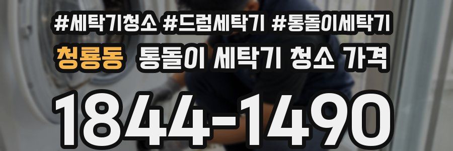 청룡동 통돌이 세탁기 청소 가격