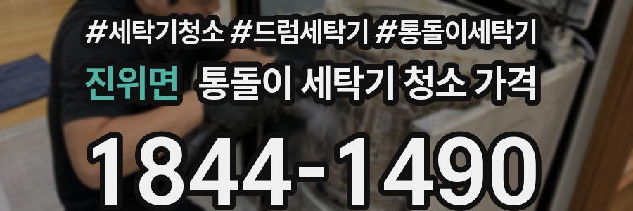 진위면 통돌이 세탁기 청소 가격