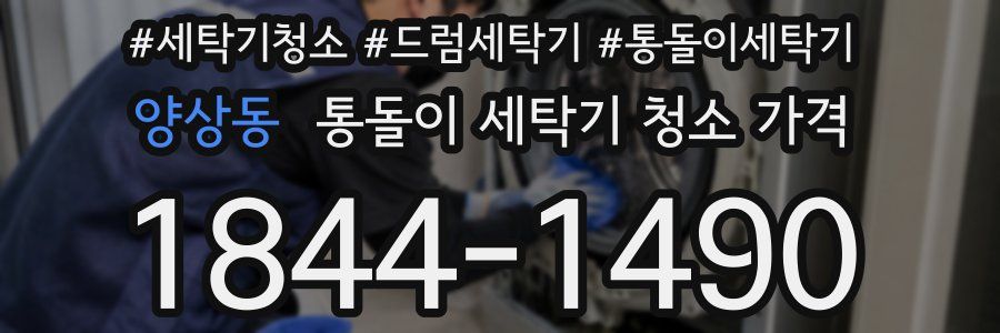양상동 통돌이 세탁기 청소 가격