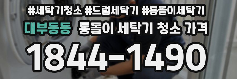 대부동동 통돌이 세탁기 청소 가격