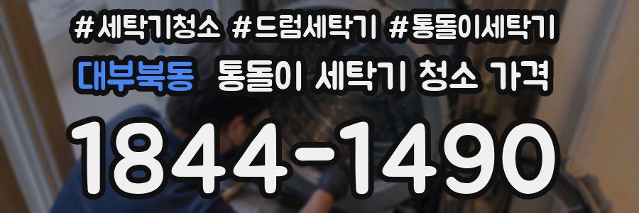 대부북동 통돌이 세탁기 청소 가격