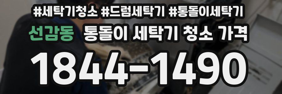 선감동 통돌이 세탁기 청소 가격