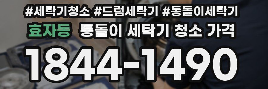 효자동 통돌이 세탁기 청소 가격