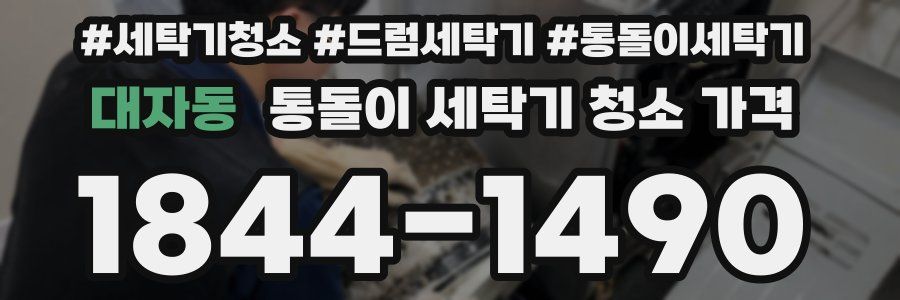 대자동 통돌이 세탁기 청소 가격