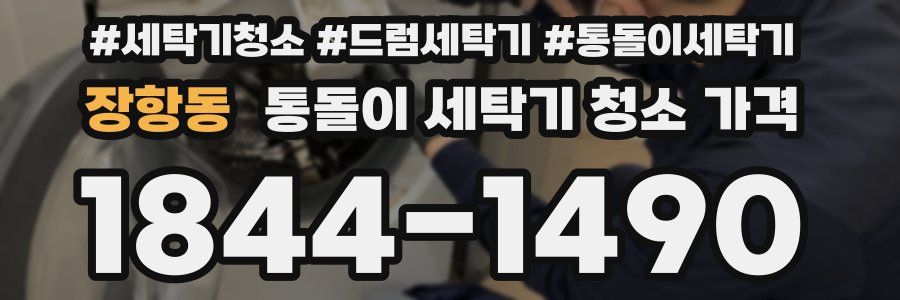 장항동 통돌이 세탁기 청소 가격