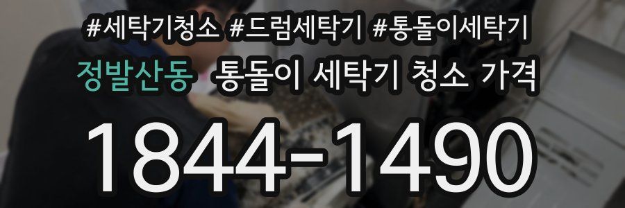 정발산동 통돌이 세탁기 청소 가격