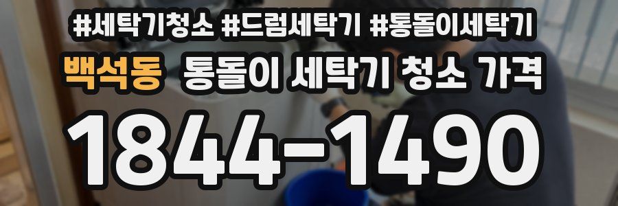 백석동 통돌이 세탁기 청소 가격