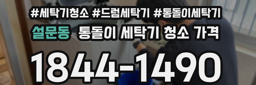 설문동 통돌이 세탁기 청소 가격