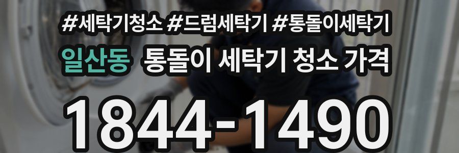 일산동 통돌이 세탁기 청소 가격