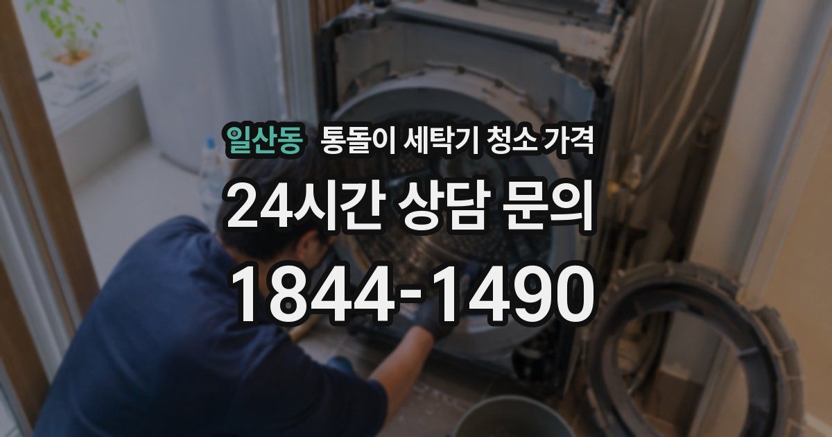 일산동 통돌이 세탁기 청소 가격