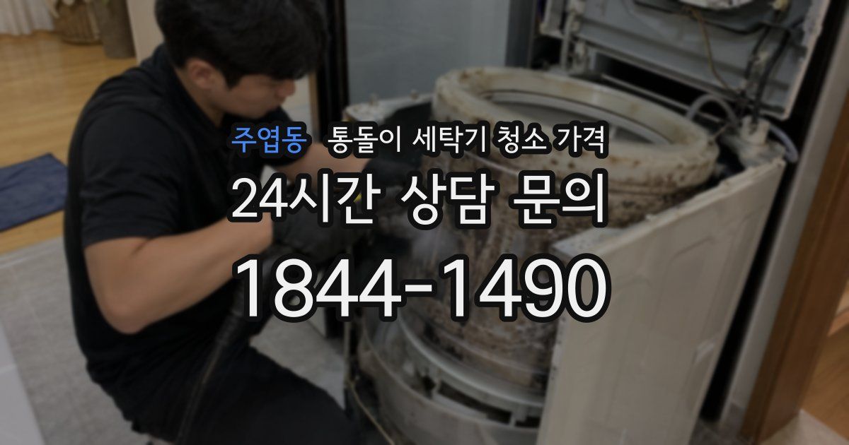 주엽동 통돌이 세탁기 청소 가격