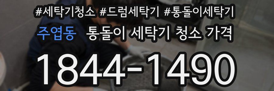 주엽동 통돌이 세탁기 청소 가격