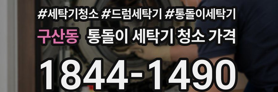 구산동 통돌이 세탁기 청소 가격