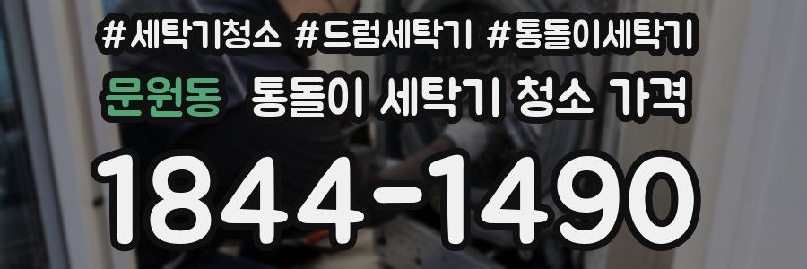 문원동 통돌이 세탁기 청소 가격