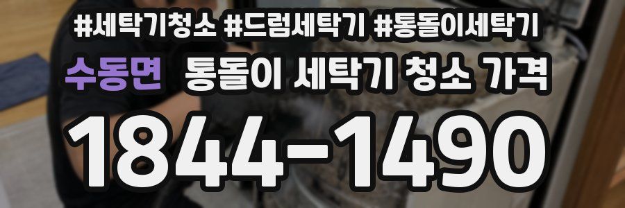 수동면 통돌이 세탁기 청소 가격