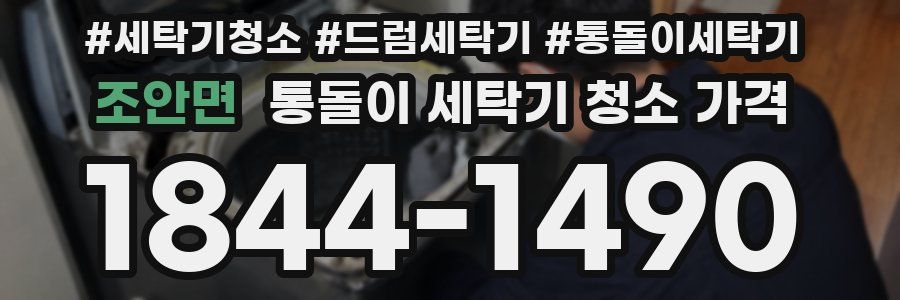 조안면 통돌이 세탁기 청소 가격