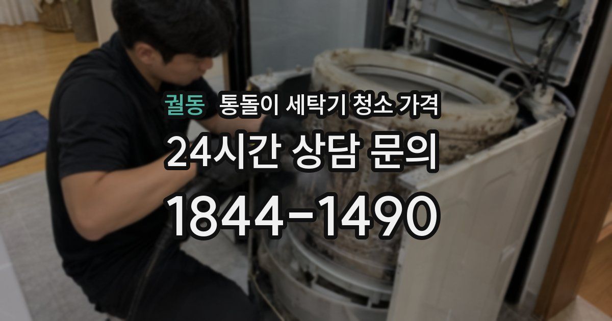 궐동 통돌이 세탁기 청소 가격