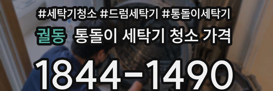 궐동 통돌이 세탁기 청소 가격