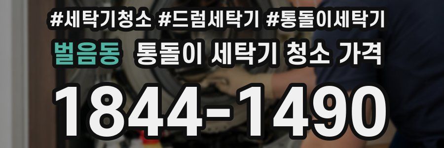 벌음동 통돌이 세탁기 청소 가격