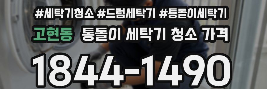 고현동 통돌이 세탁기 청소 가격