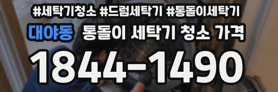 대야동 통돌이 세탁기 청소 가격