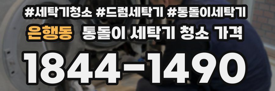 은행동 통돌이 세탁기 청소 가격