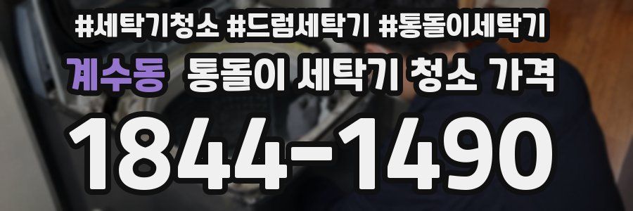 계수동 통돌이 세탁기 청소 가격