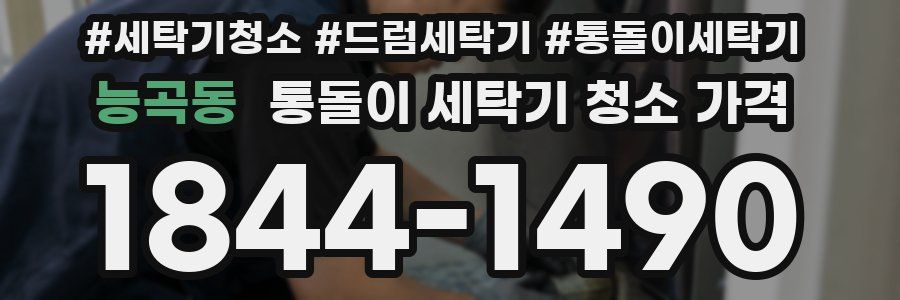 능곡동 통돌이 세탁기 청소 가격
