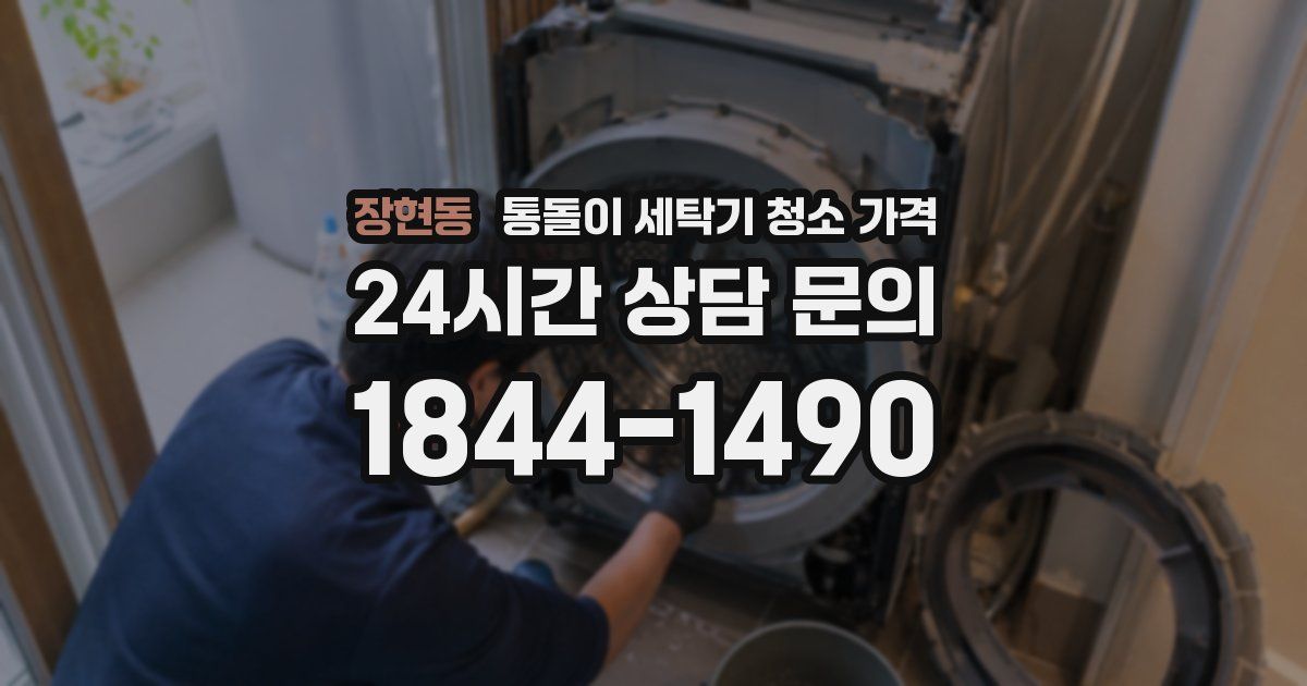 장현동 통돌이 세탁기 청소 가격