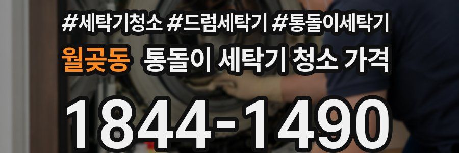 월곶동 통돌이 세탁기 청소 가격