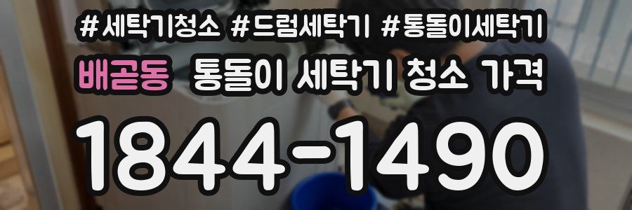 배곧동 통돌이 세탁기 청소 가격