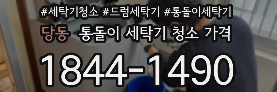 당동 통돌이 세탁기 청소 가격