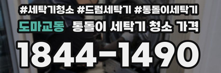 도마교동 통돌이 세탁기 청소 가격