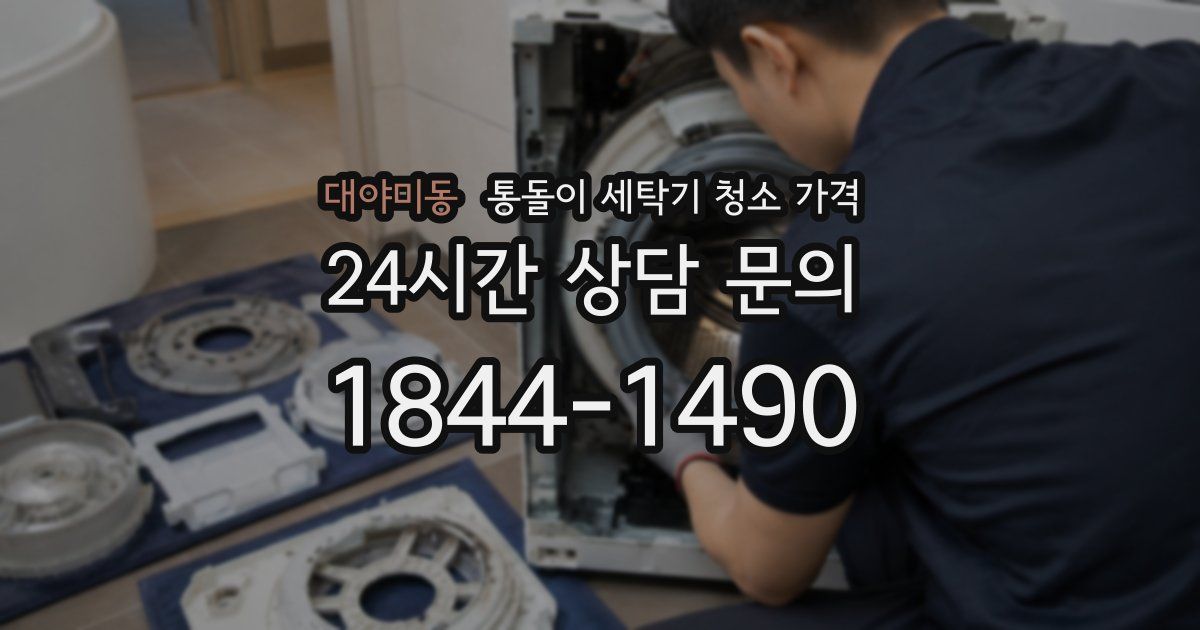 대야미동 통돌이 세탁기 청소 가격