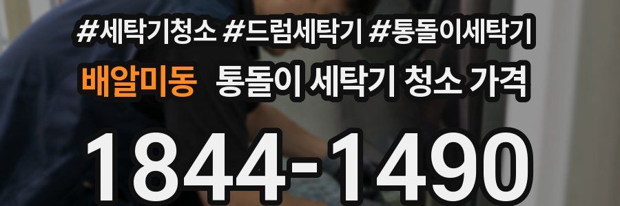 배알미동 통돌이 세탁기 청소 가격