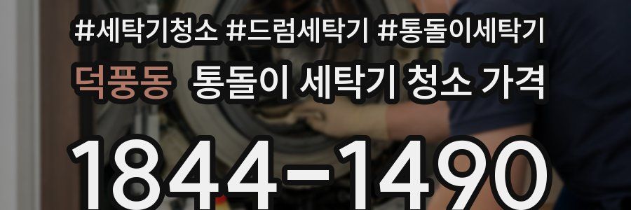 덕풍동 통돌이 세탁기 청소 가격