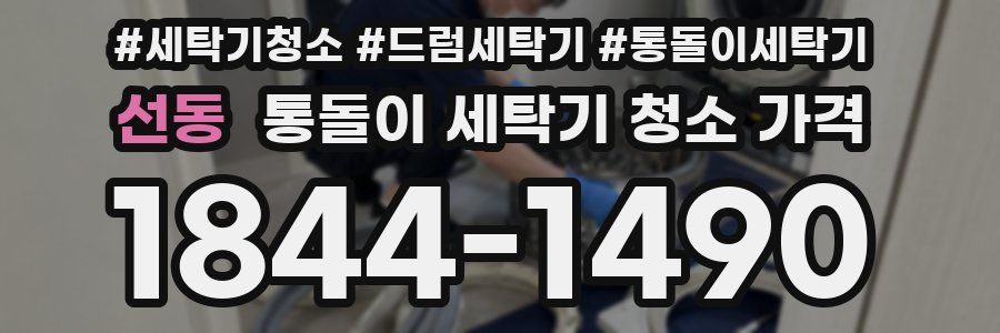 선동 통돌이 세탁기 청소 가격