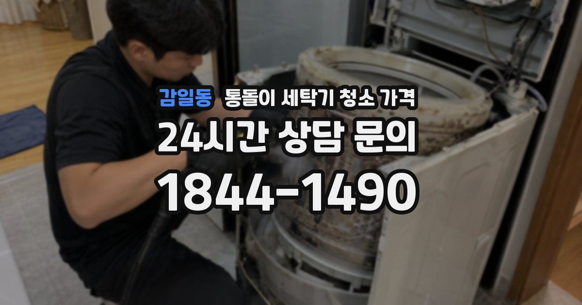 감일동 통돌이 세탁기 청소 가격
