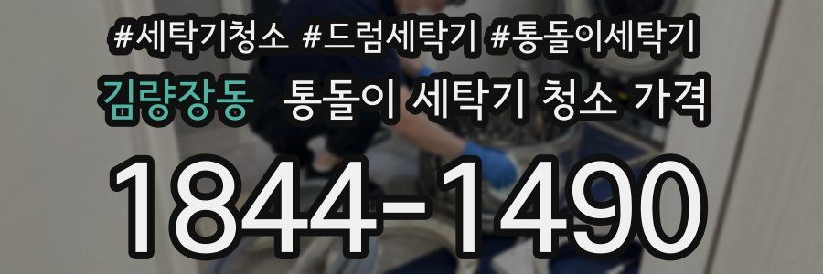 김량장동 통돌이 세탁기 청소 가격