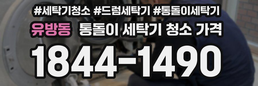 유방동 통돌이 세탁기 청소 가격