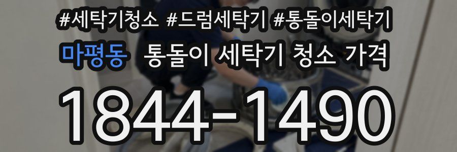 마평동 통돌이 세탁기 청소 가격